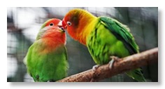 jonah-pettrich-JY6SQqlJLXE-unsplash-600x300